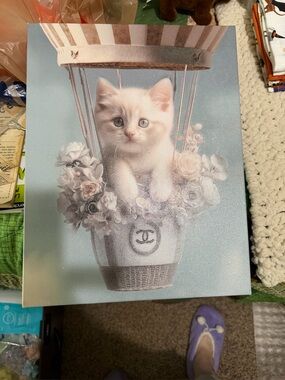 Adorable Chanel logo kitten canvas